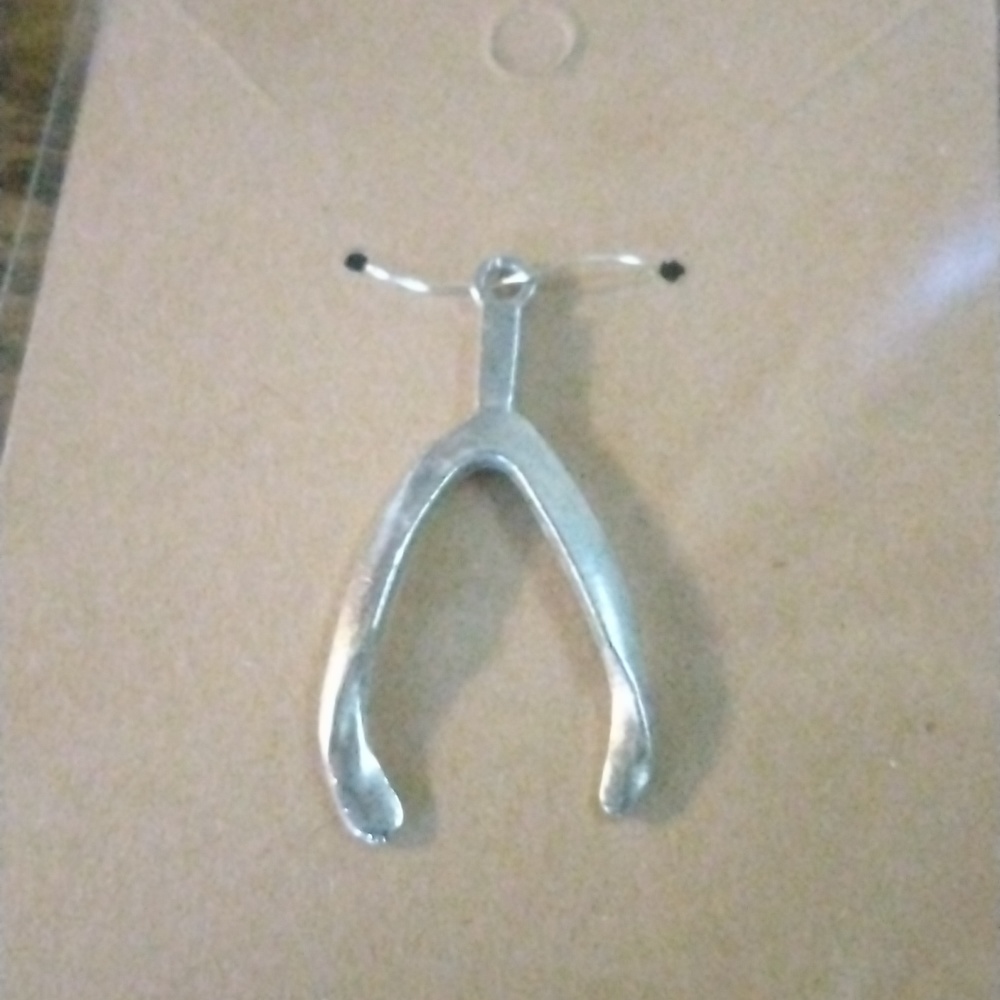 Silver Wishbone Charm